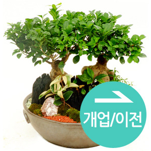 뵵 īװ #3
