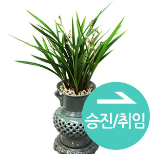 뵵 īװ #4