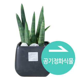 뵵 īװ #6