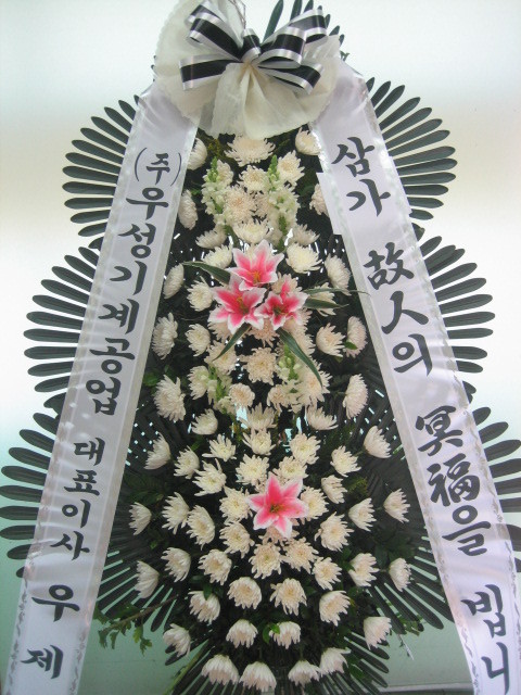켺ֹԴϴ~