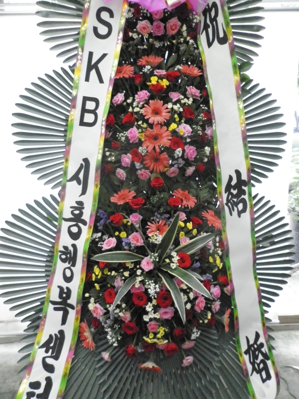 skbֹԴϴ~