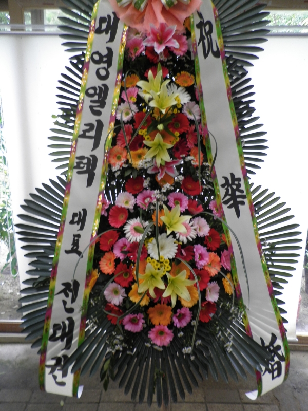 뿵ֹԴϴ~