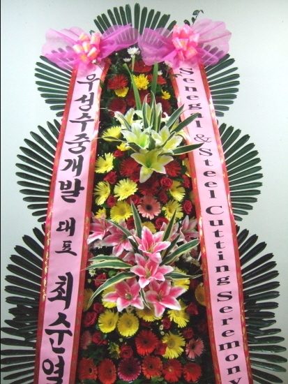 켺ֹ߰Դϴ~
