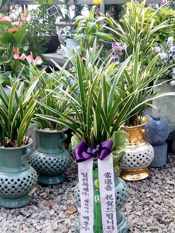 ϼۻԴϴ~